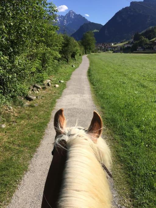 Ferienhaus Zillertal Panorama Blick Balkon Sauna Zellberg Dış mekan fotoğraf
